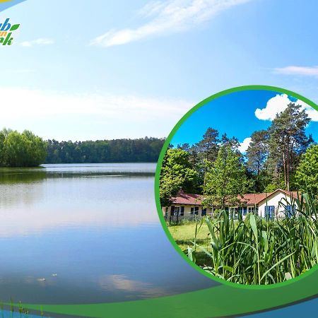 Jagd-Angler-Suite-03-Im-Wald-Am-See 屈里茨 外观 照片
