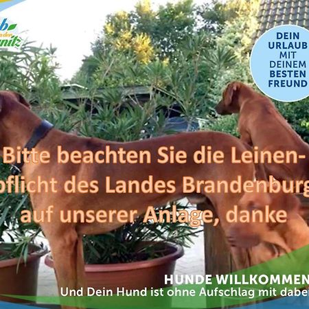 Jagd-Angler-Suite-03-Im-Wald-Am-See 屈里茨 外观 照片